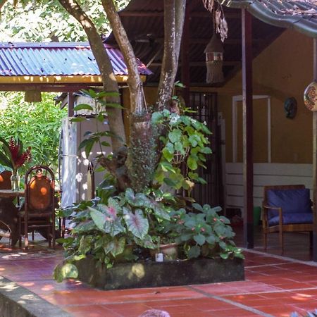 Mi Refugio Tayrona Hotel Santa Marta  Bagian luar foto