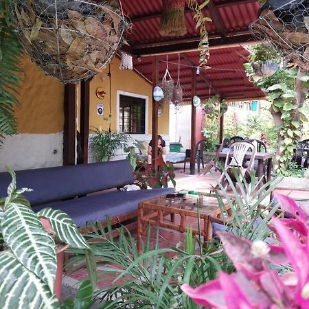 Mi Refugio Tayrona Hotel Santa Marta  Bagian luar foto