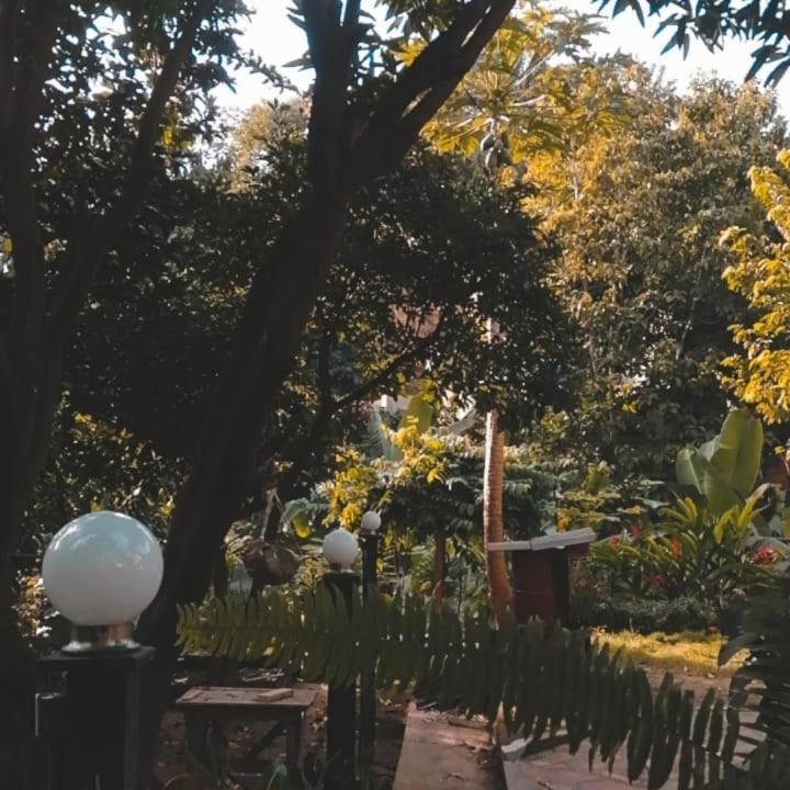 Mi Refugio Tayrona Hotel Santa Marta  Bagian luar foto