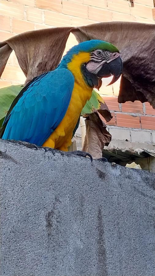 Mi Refugio Tayrona Hotel Santa Marta  Bagian luar foto