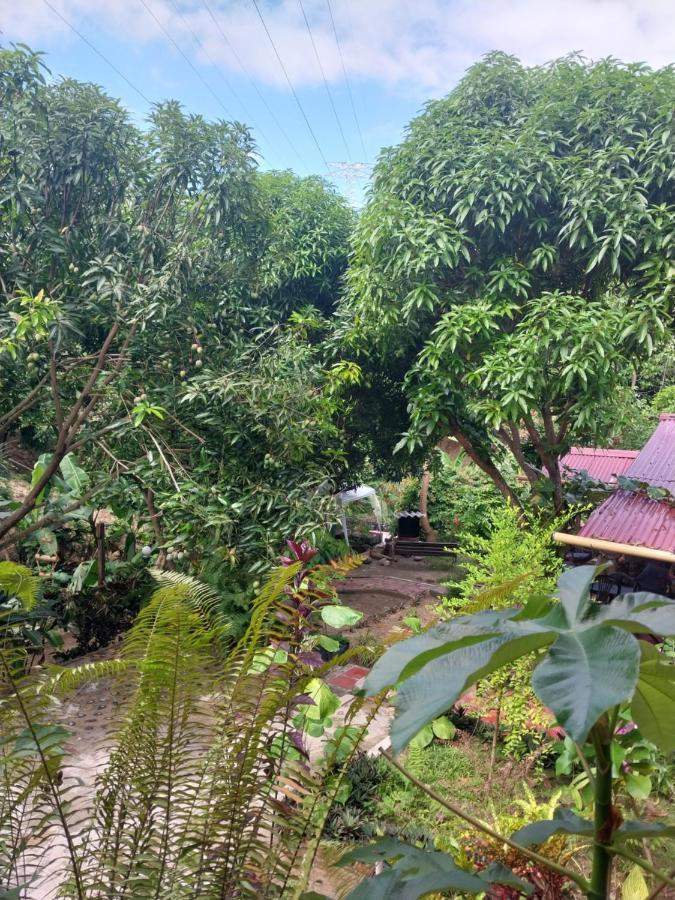 Mi Refugio Tayrona Hotel Santa Marta  Bagian luar foto