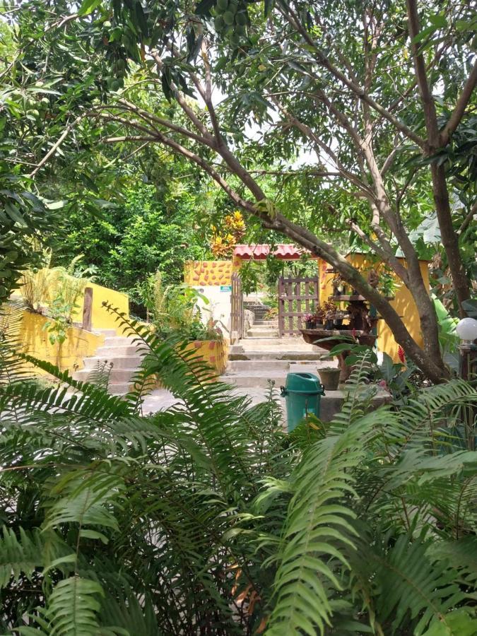 Mi Refugio Tayrona Hotel Santa Marta  Bagian luar foto